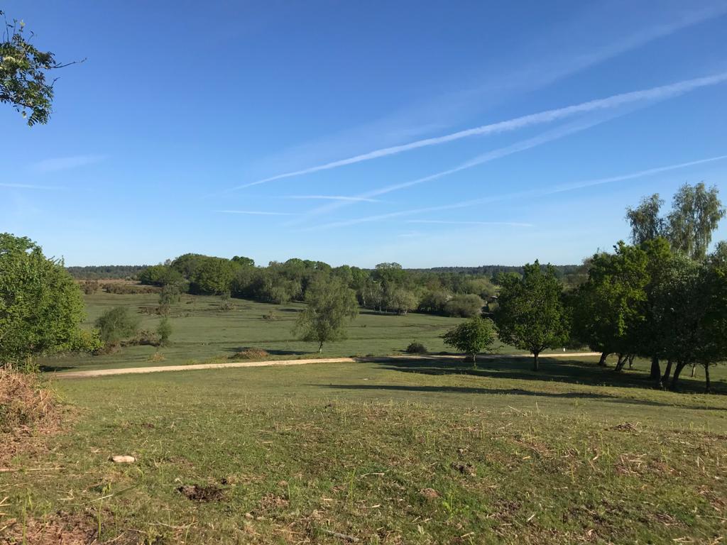 Longdown Trail Adventure Walk