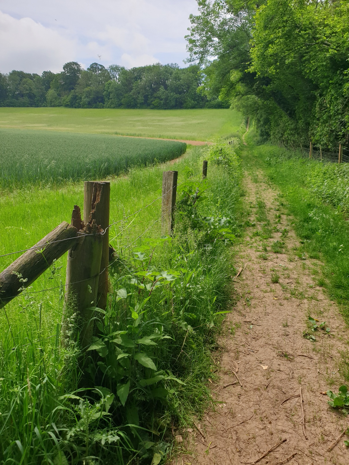 Evening walk & Pub! - Upham & the Brushmakers Arms (Gear 1 to 2). - 4 miles