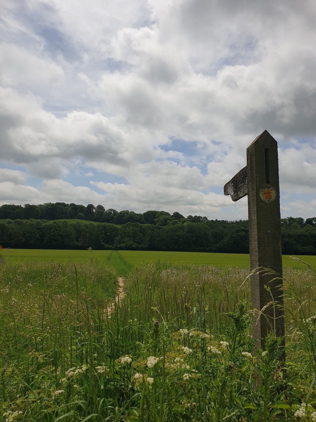 Evening walk & Pub! - Upham & the Brushmakers Arms (Gear 1 to 2). - 4 miles