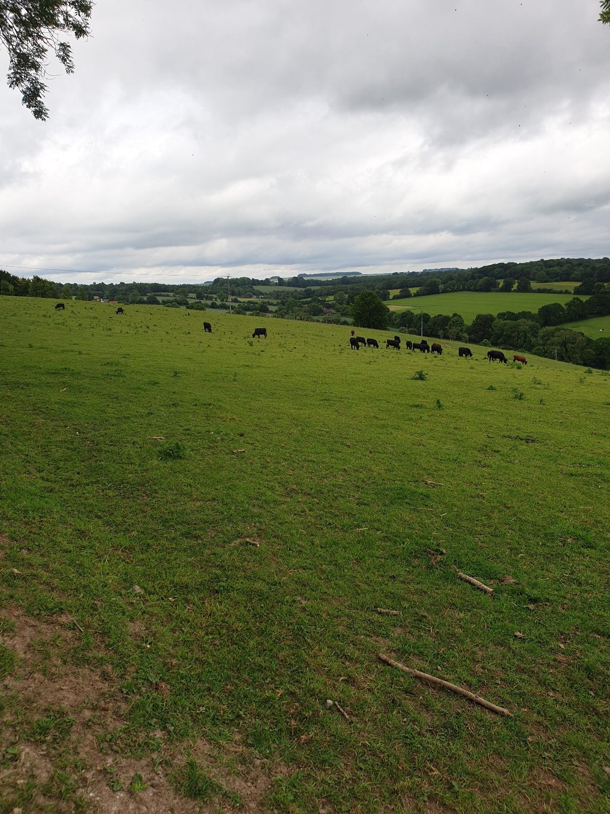 Evening walk & Pub! - Upham & the Brushmakers Arms (Gear 1 to 2). - 4 miles