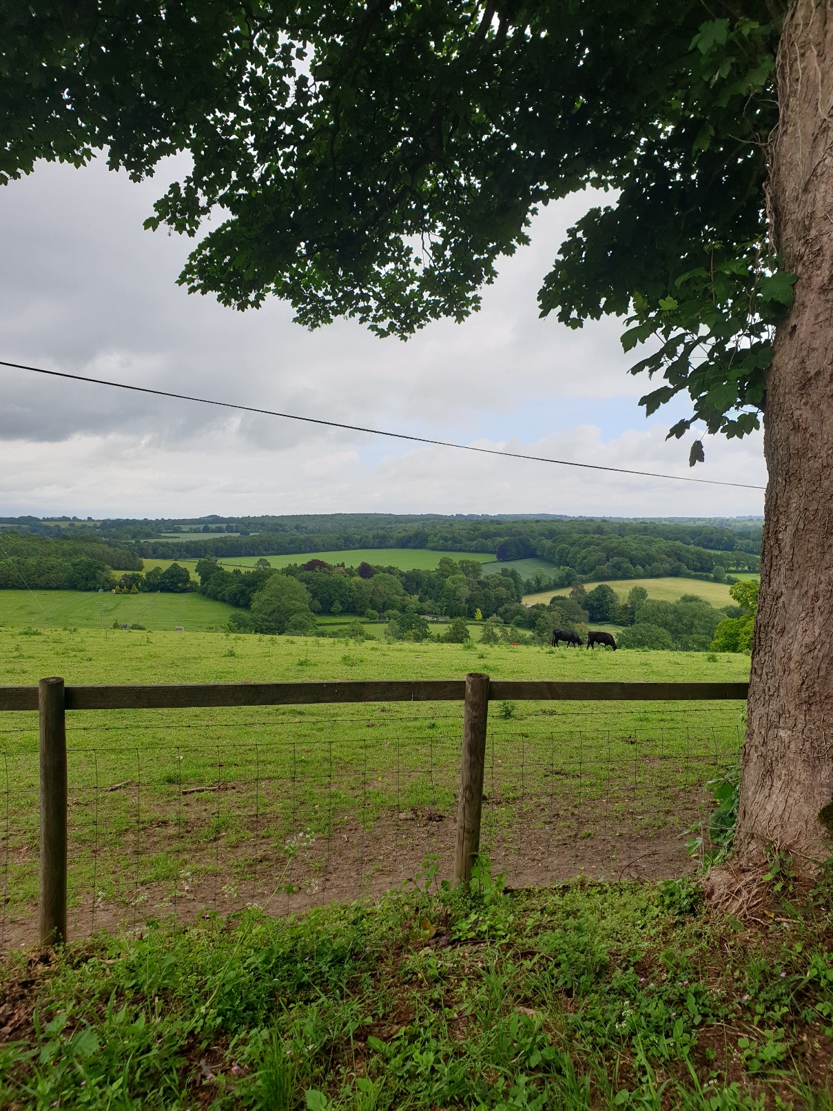 Evening walk & Pub! - Upham & the Brushmakers Arms (Gear 1 to 2). - 4 miles