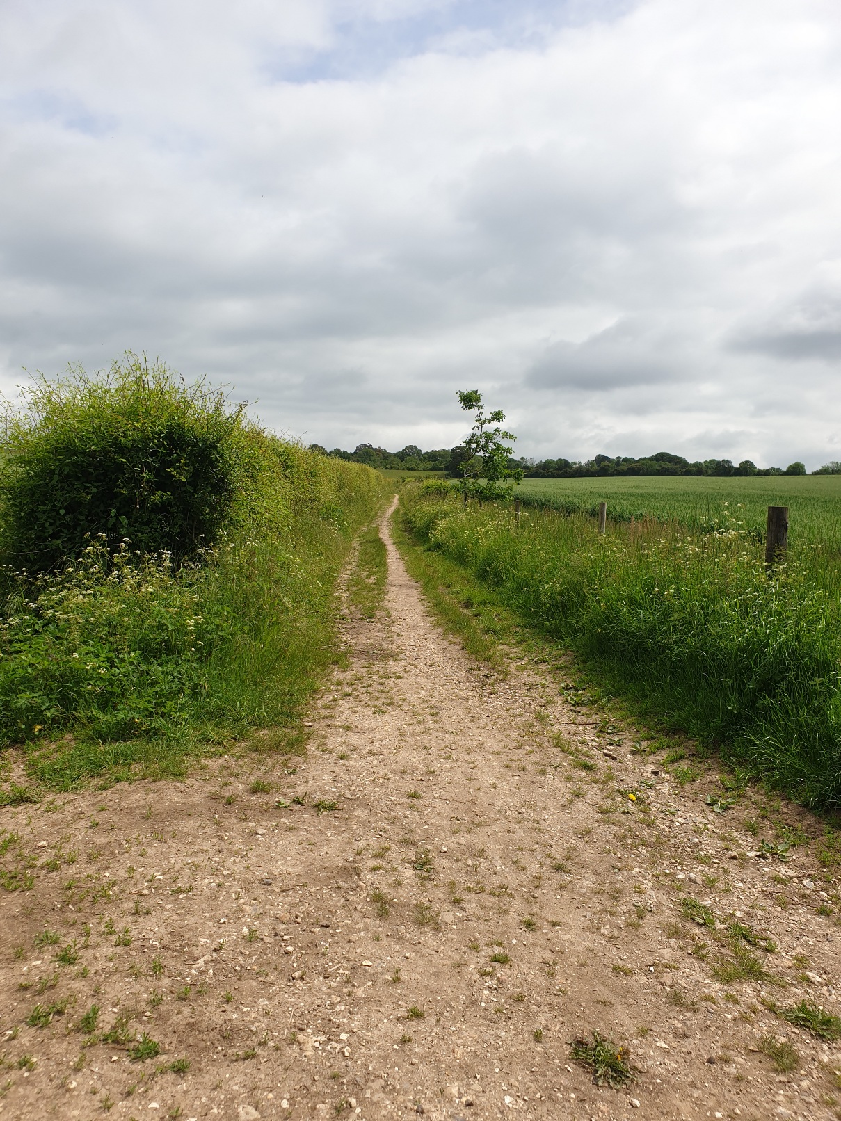 Evening walk & Pub! - Upham & the Brushmakers Arms (Gear 1 to 2). - 4 miles