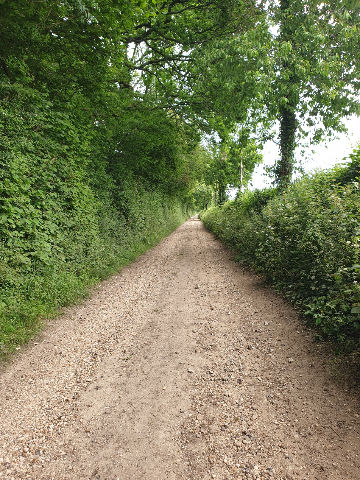 Evening walk & Pub! - Upham & the Brushmakers Arms (Gear 1 to 2). - 4 miles