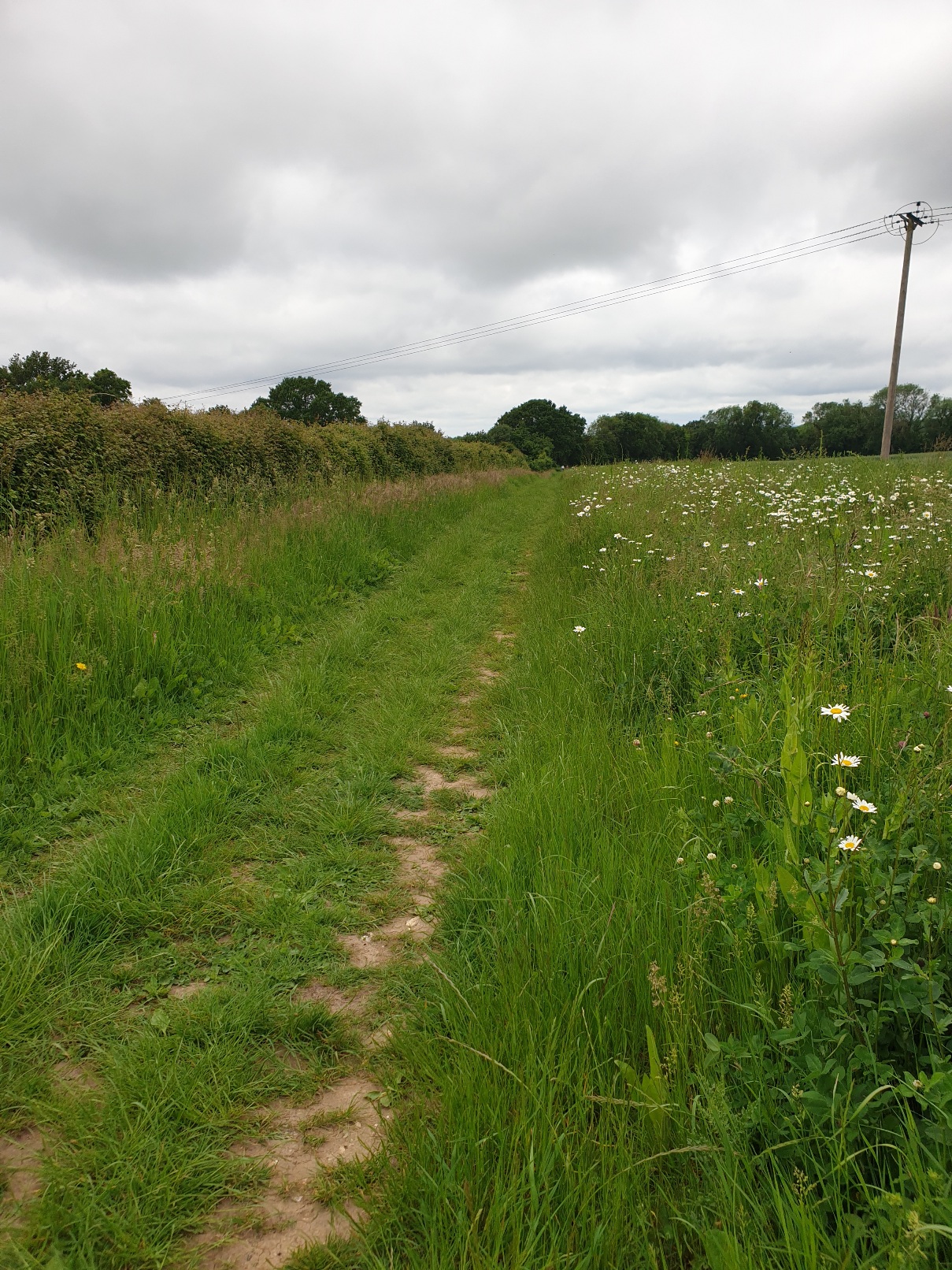 Evening walk & Pub! - Upham & the Brushmakers Arms (Gear 1 to 2). - 4 miles