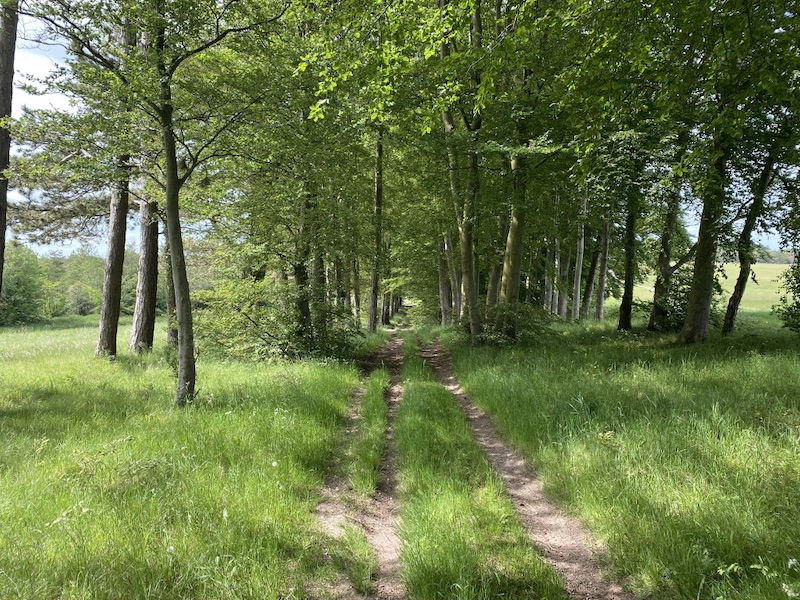 Gear 2 walk - Salisbury Plain