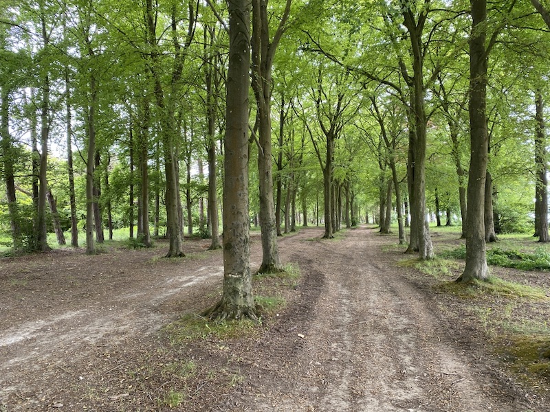 Gear 2 walk - Salisbury Plain