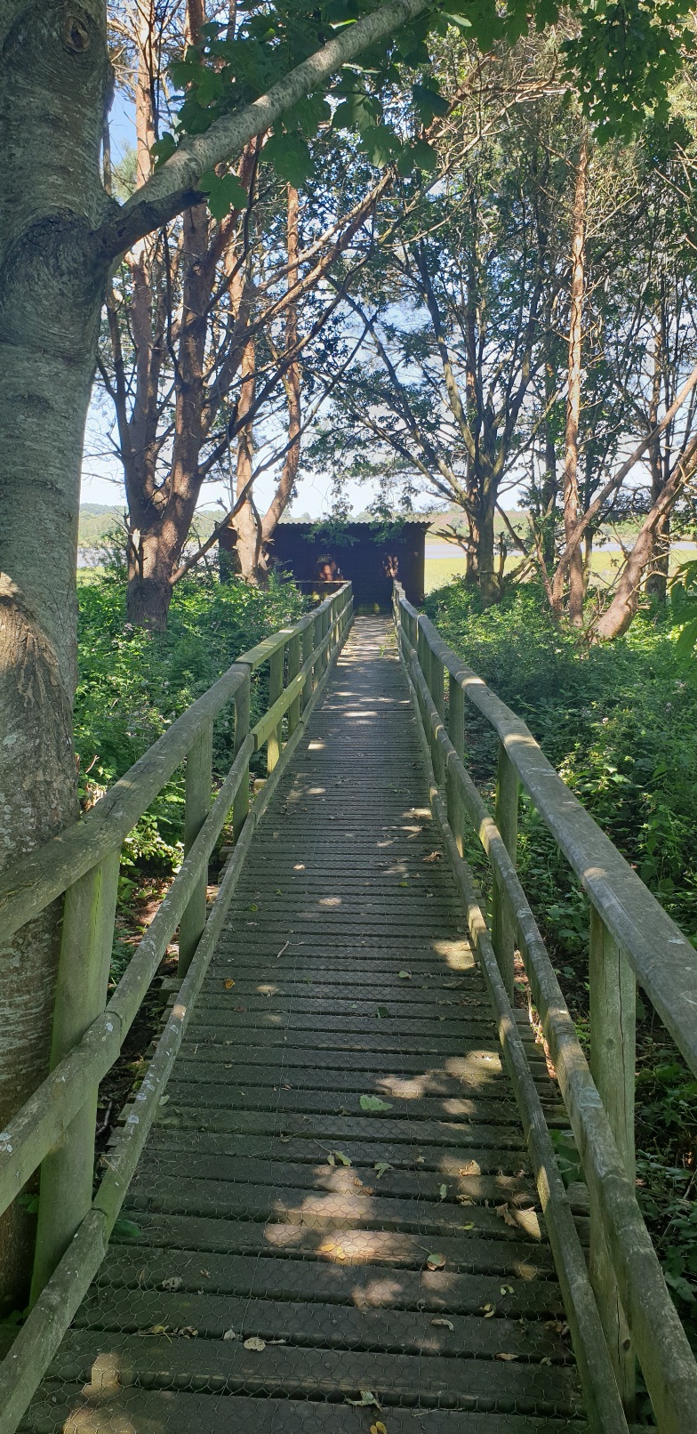 Middlebere wildlife habitat walk
