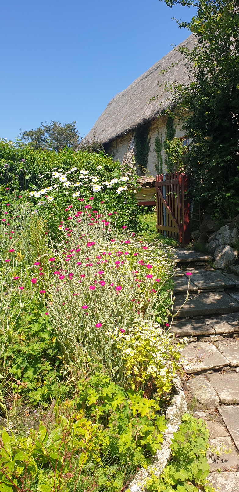 Middlebere wildlife habitat walk