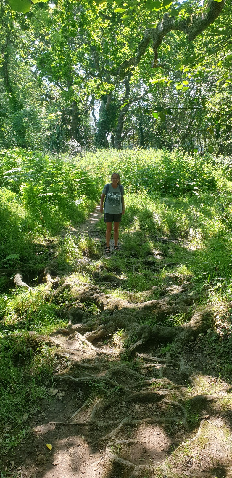 Middlebere wildlife habitat walk