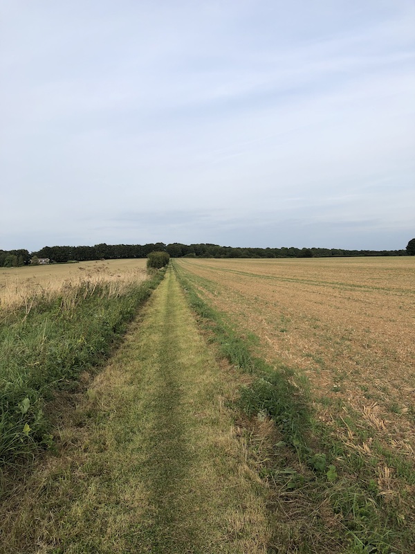 Gear 1 walk - Fox Farm, Quarley