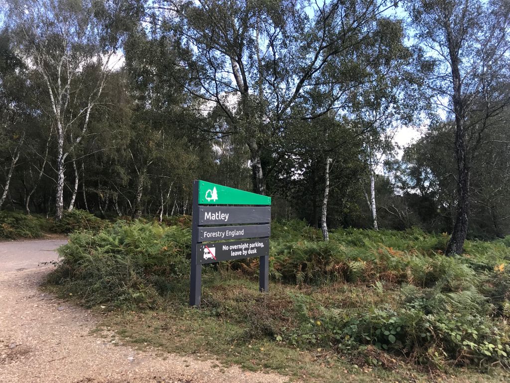 Matley Wood All Levels Walk