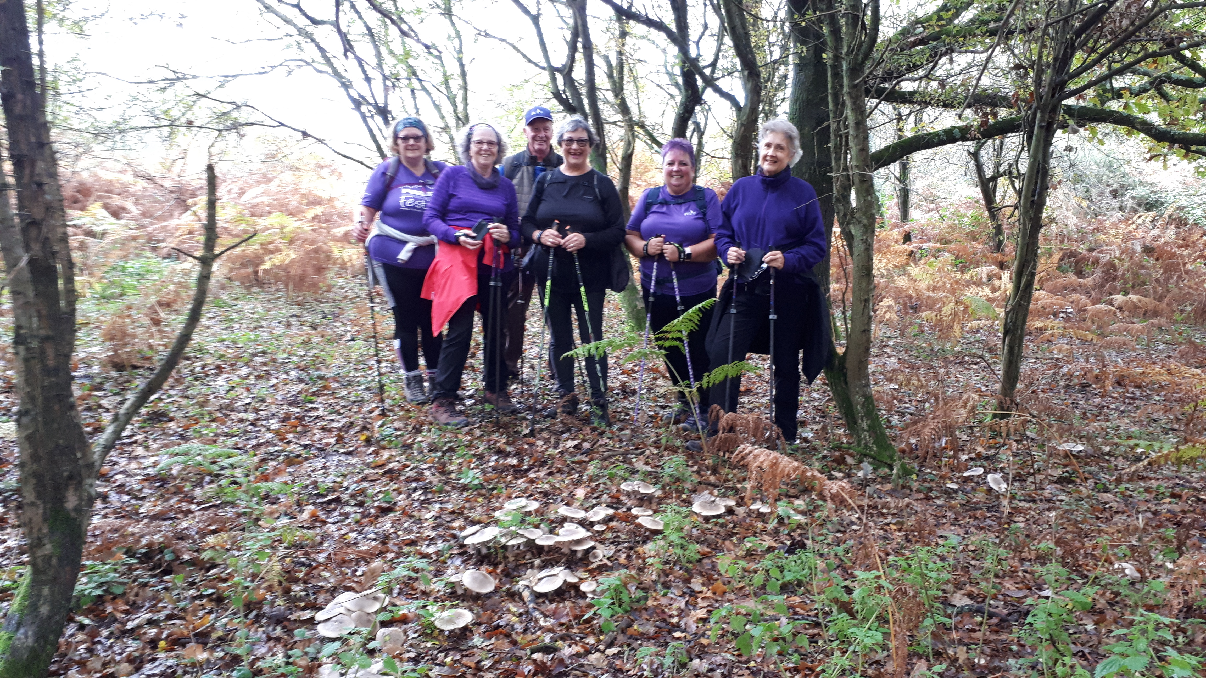 Autumn Nature Walk - Arne