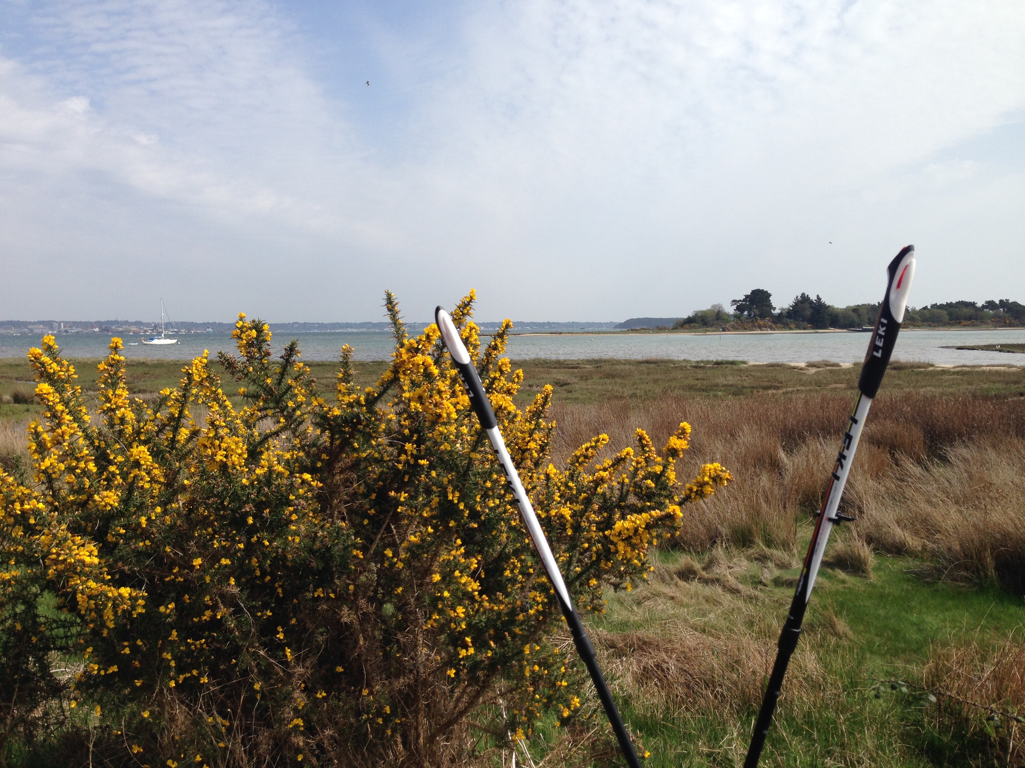 Autumn Nature Walk - Arne