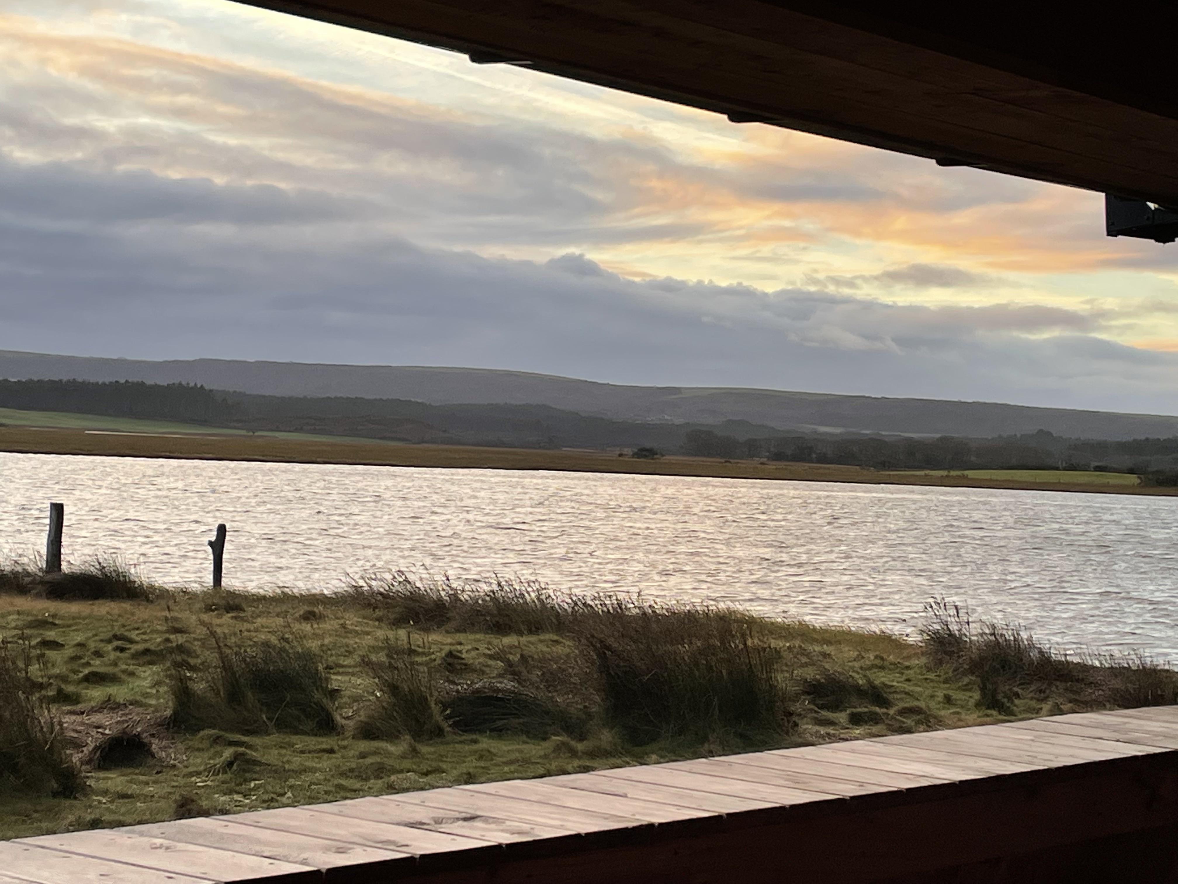 Autumn Nature Walk - Arne