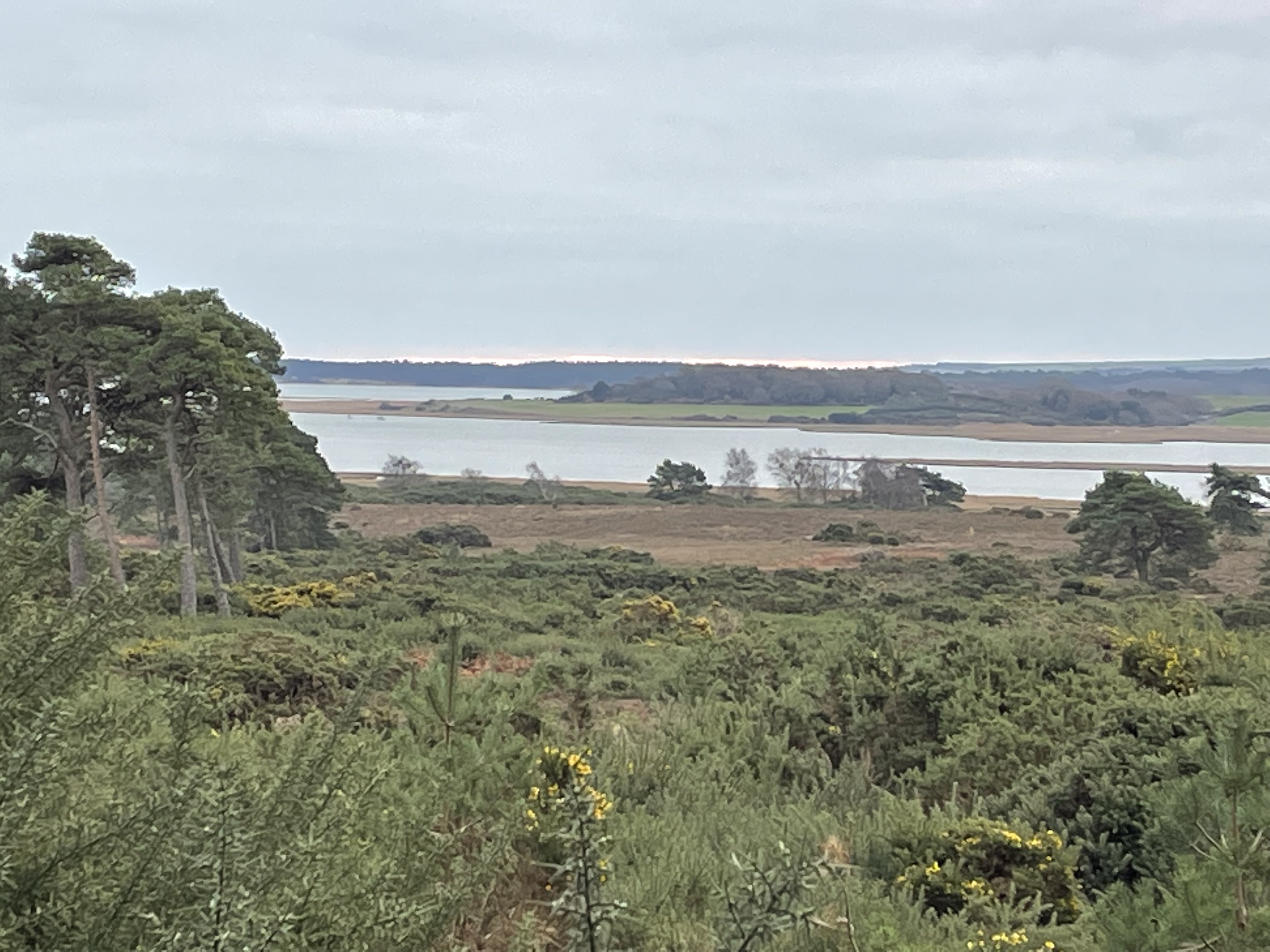 Autumn Nature Walk - Arne