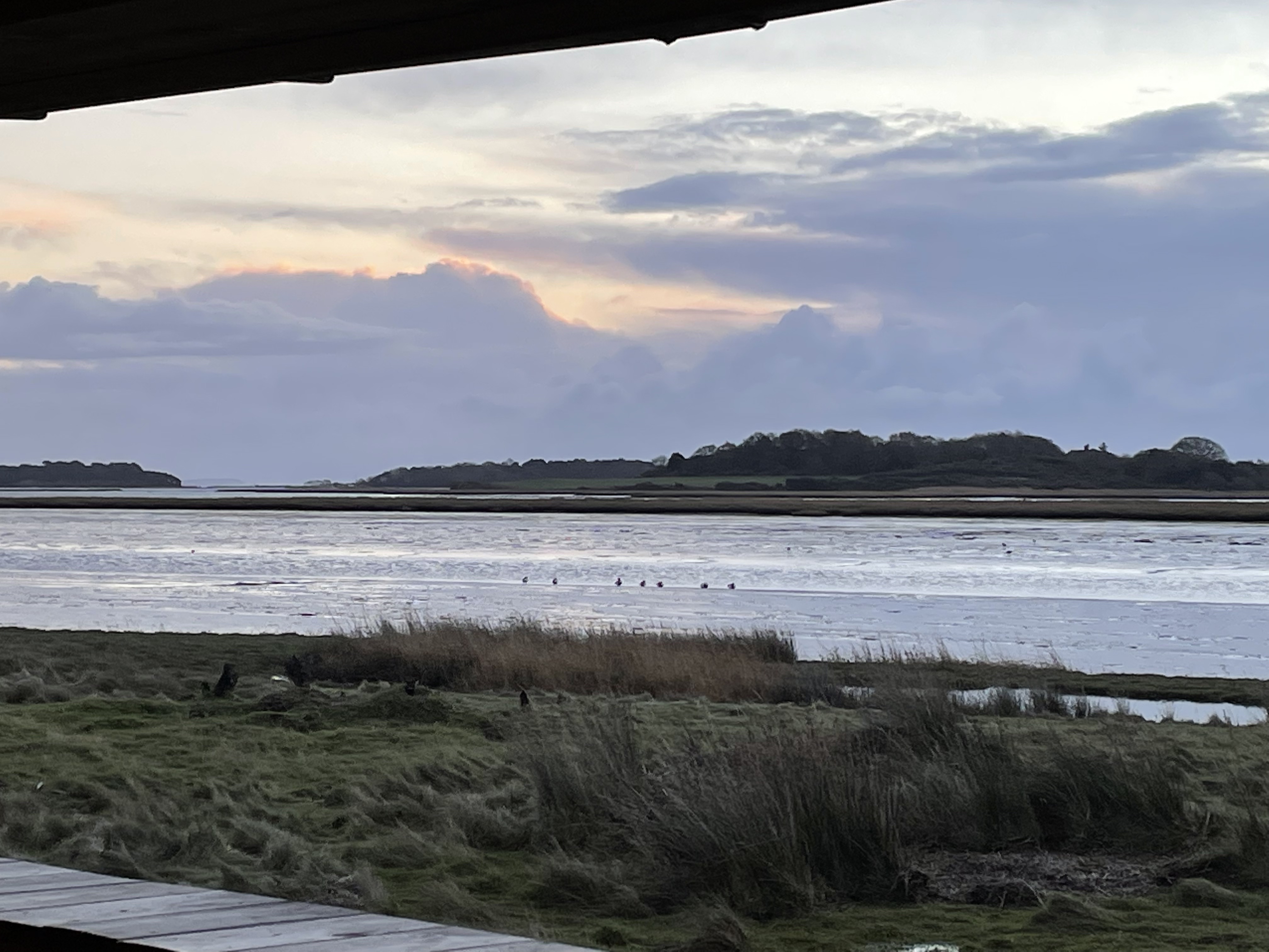 Autumn Nature Walk - Arne