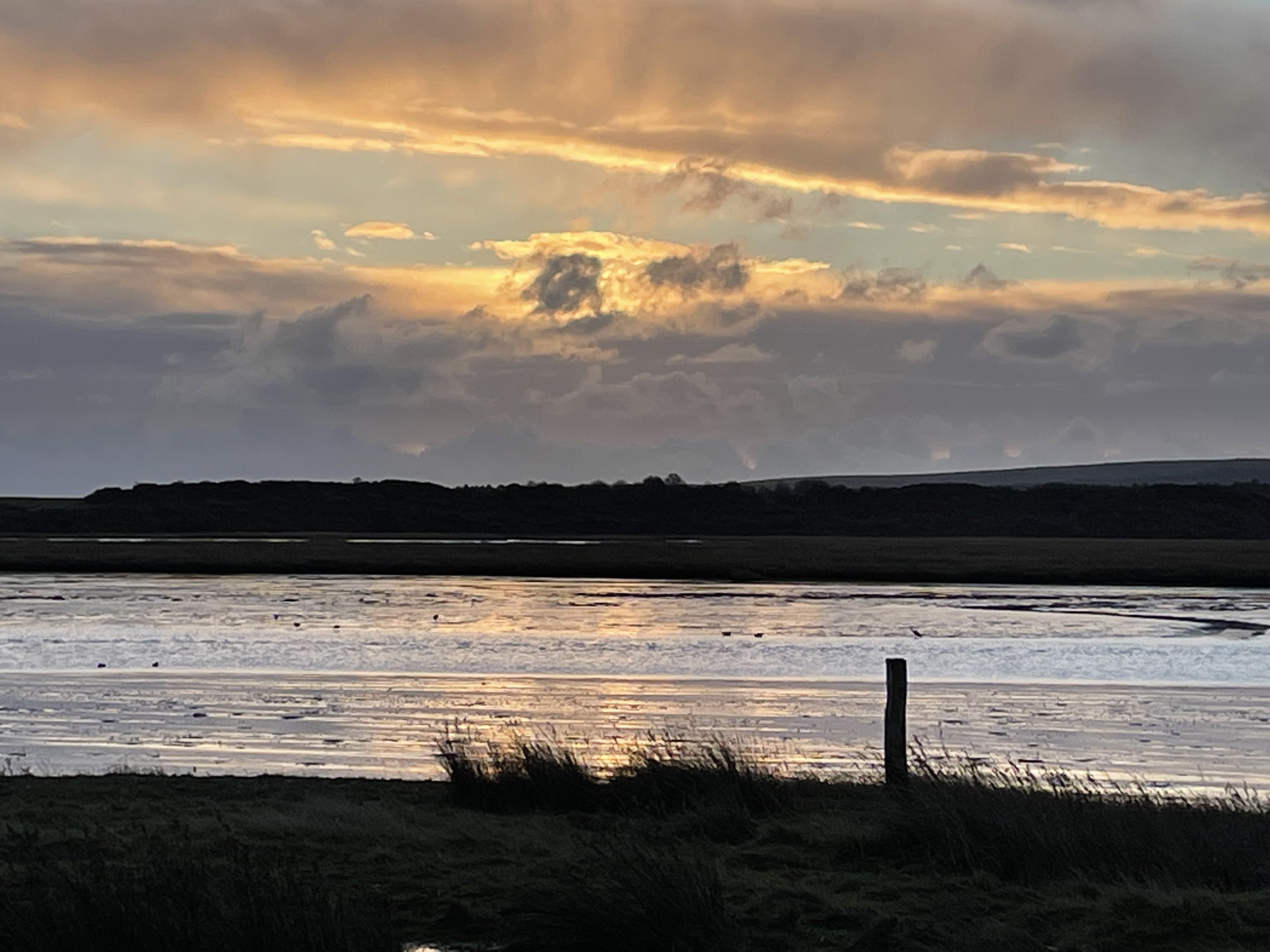 Autumn Nature Walk - Arne