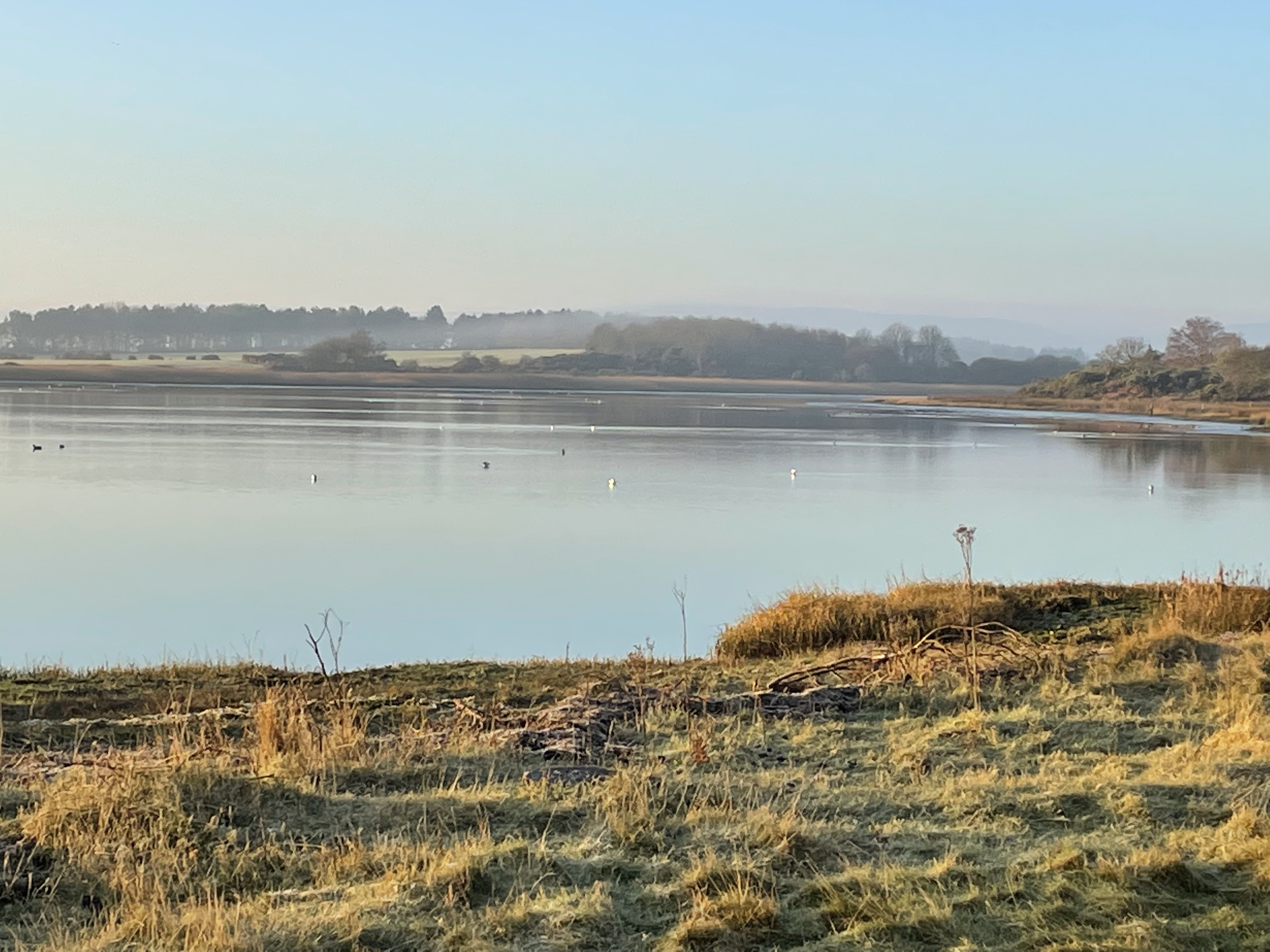 Autumn Nature Walk - Arne