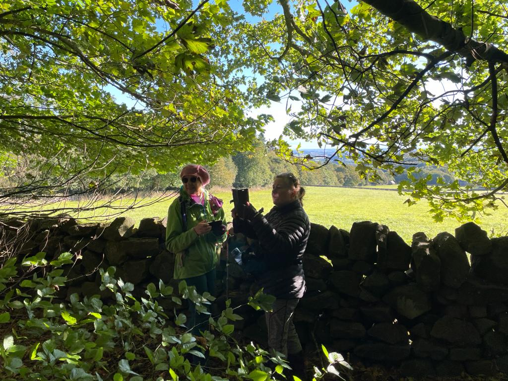 Two Hour Weekend walk - Shipley Park