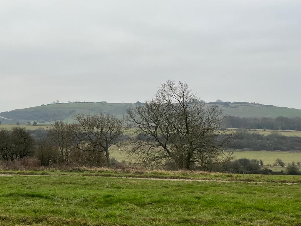 Findon Loop Walk (PACE 1 - 2)