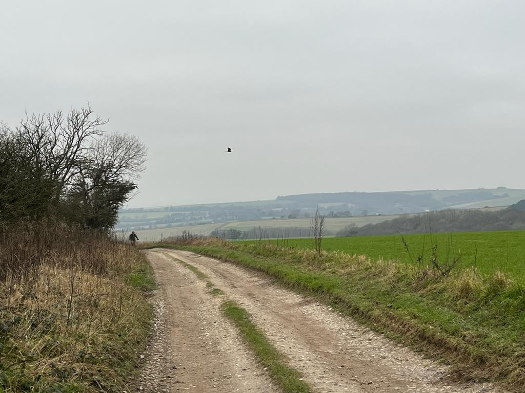 Findon Loop Walk (PACE 1 - 2)