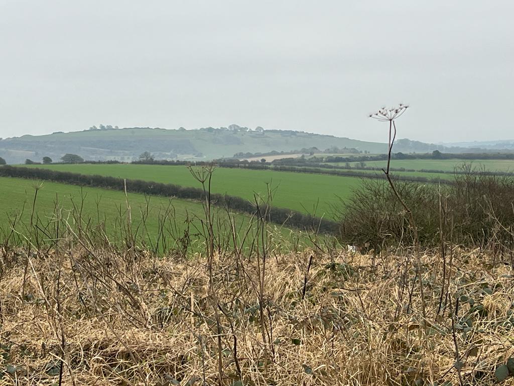 Findon Loop Walk (PACE 1 - 2)