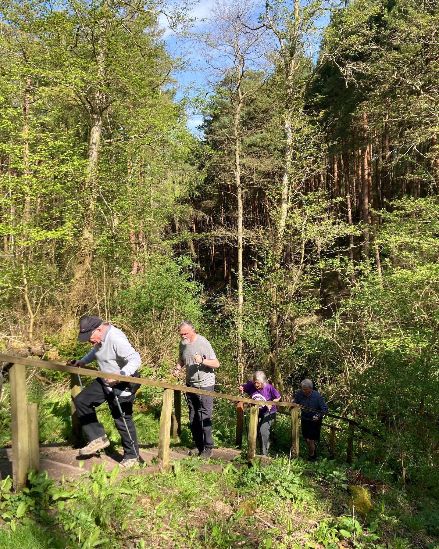 Irchester Woodland WALX- mixed ability
