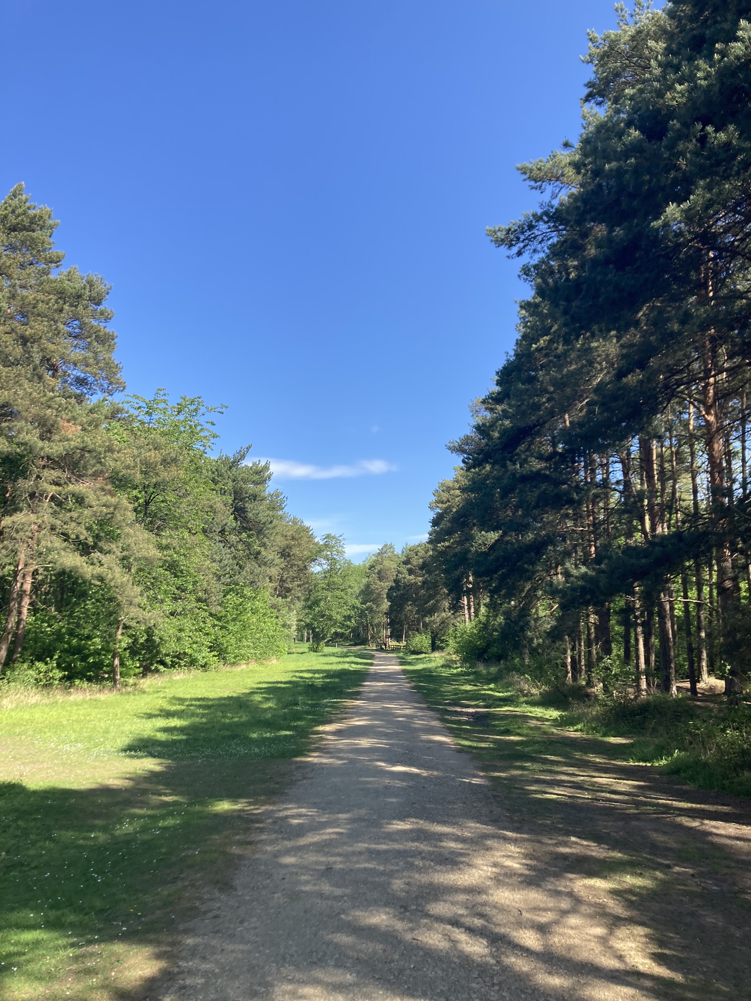 Irchester Woodland WALX- mixed ability
