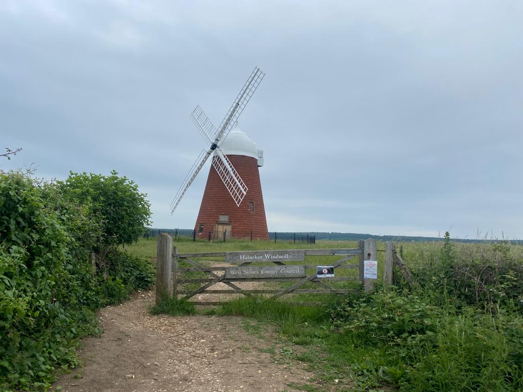 Halnaker Windmill Walk (Moderate)