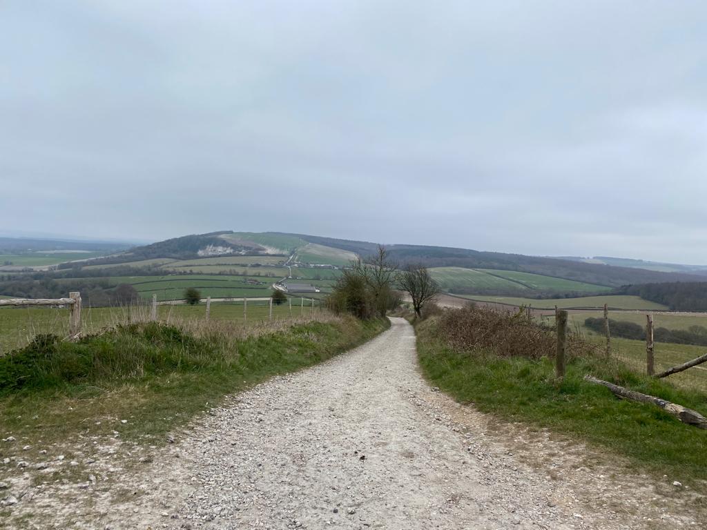 Challenge Walk -South Downs 3 HOURS Out and Back (Pace 2+)