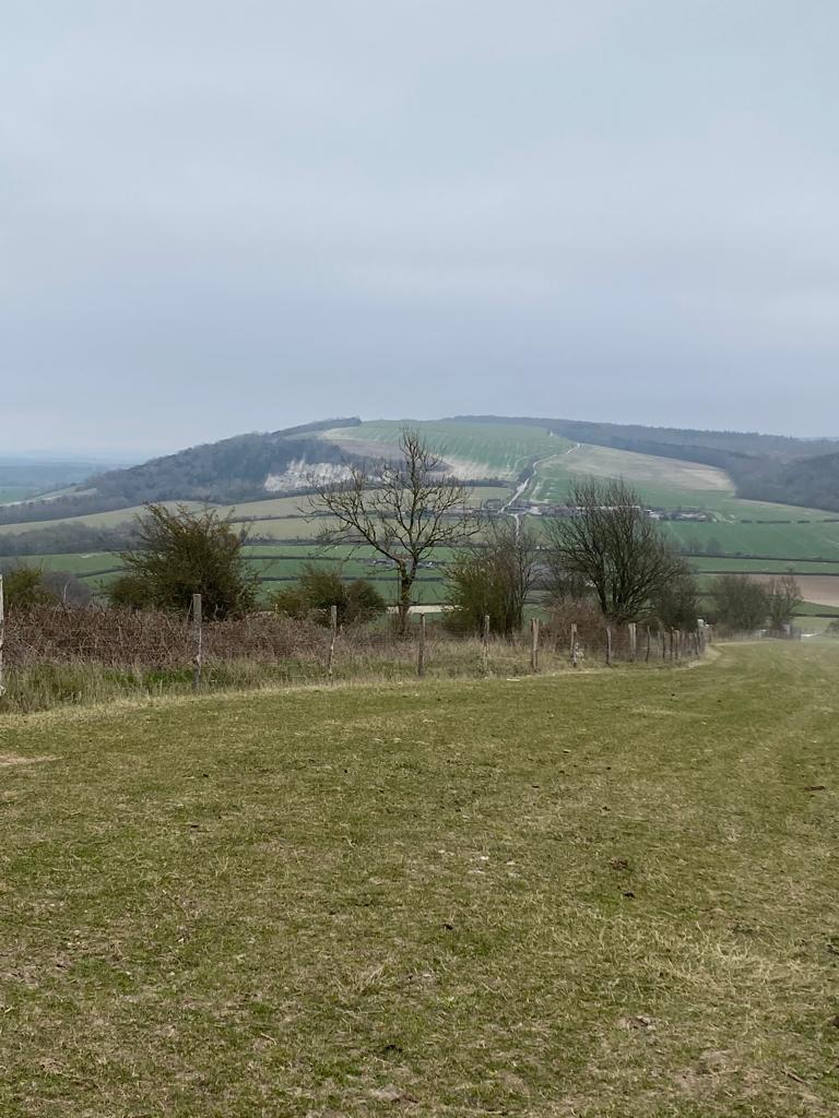 Challenge Walk -South Downs 3 HOURS Out and Back (Pace 2+)