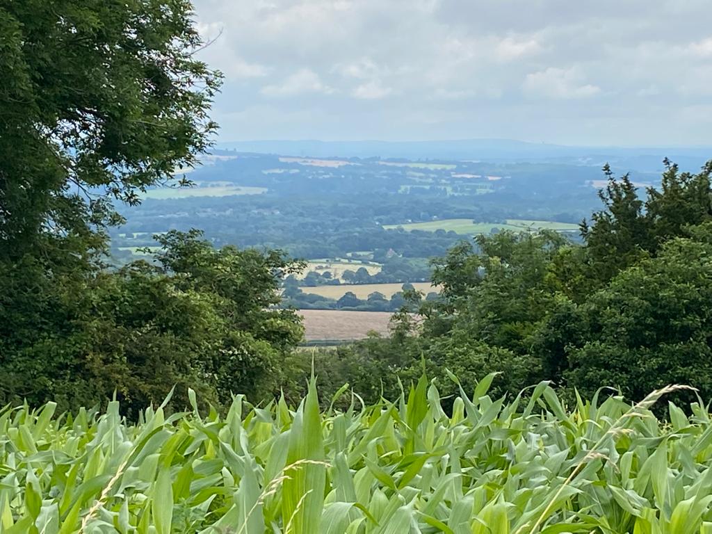 Challenge Walk -South Downs 3 HOURS Out and Back (Pace 2+)