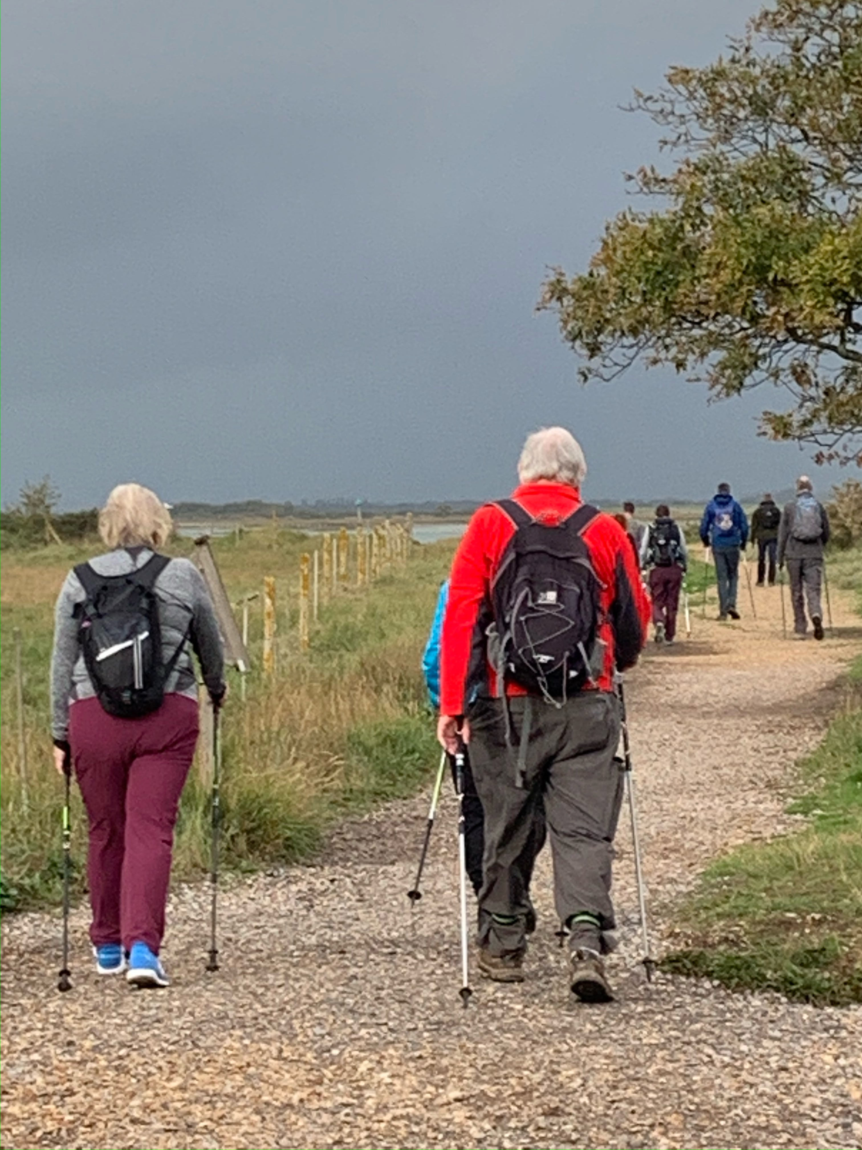 Itchenor to West Wittering Creek Walk ( Pace1- 2)