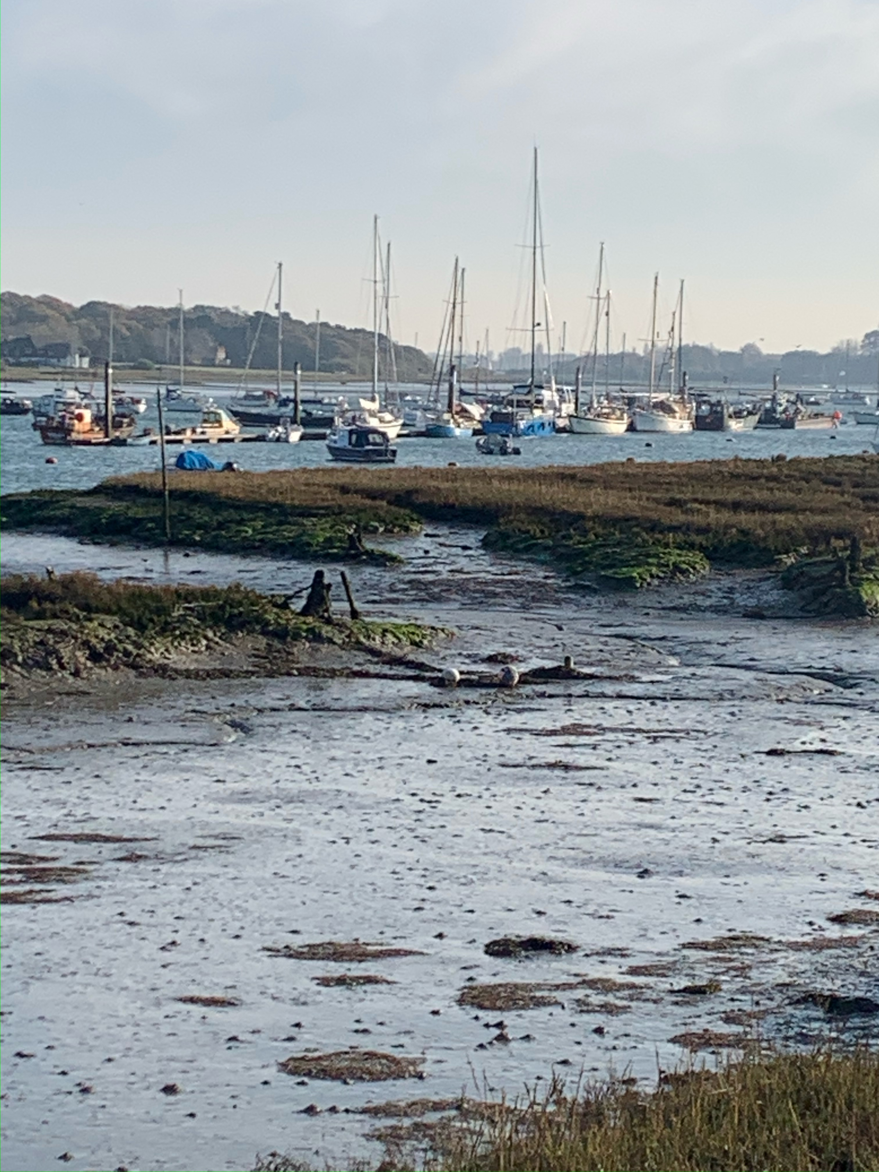 Itchenor to West Wittering Creek Walk ( Pace1- 2)