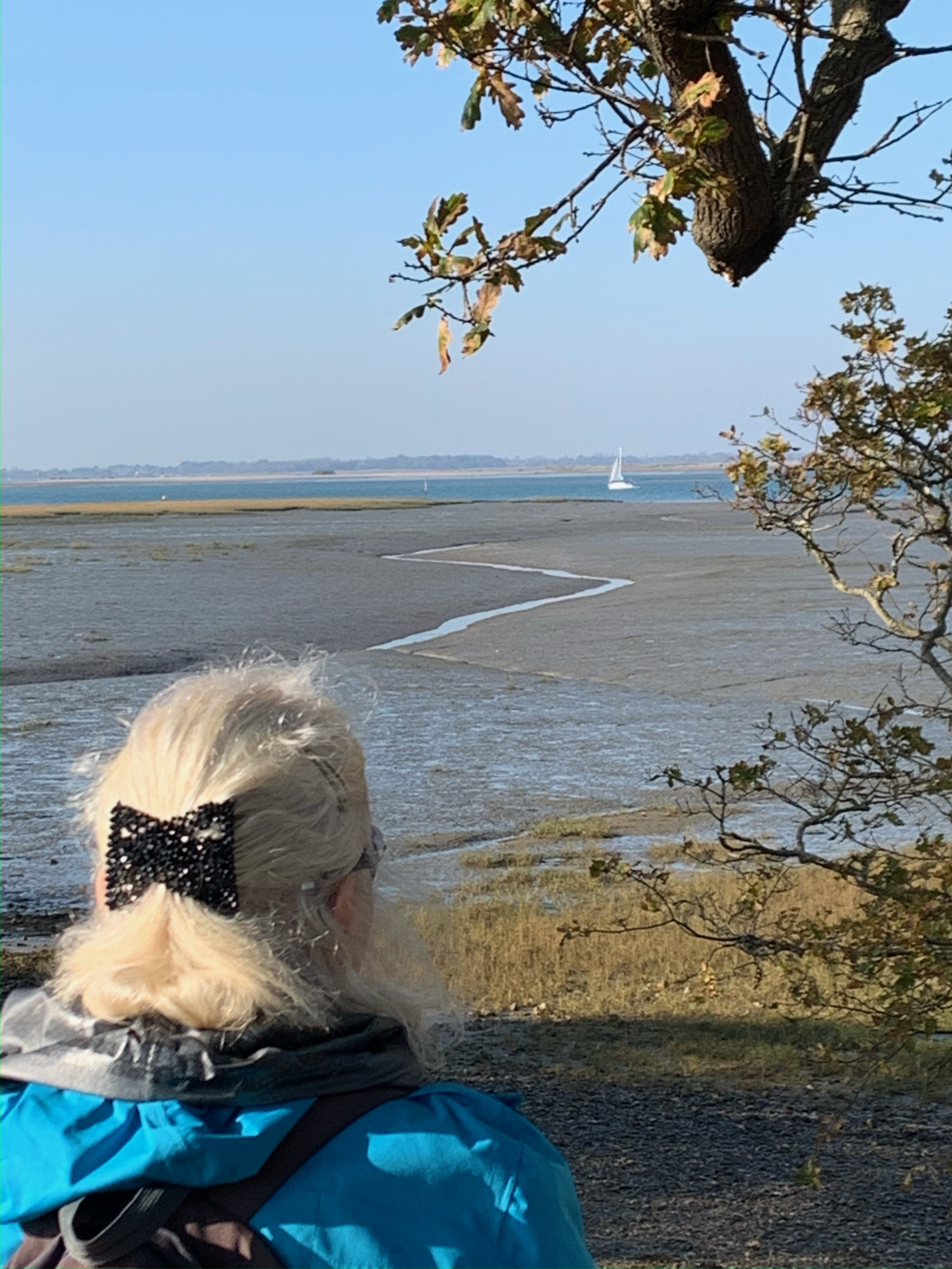 Itchenor to West Wittering Creek Walk ( Pace1- 2)