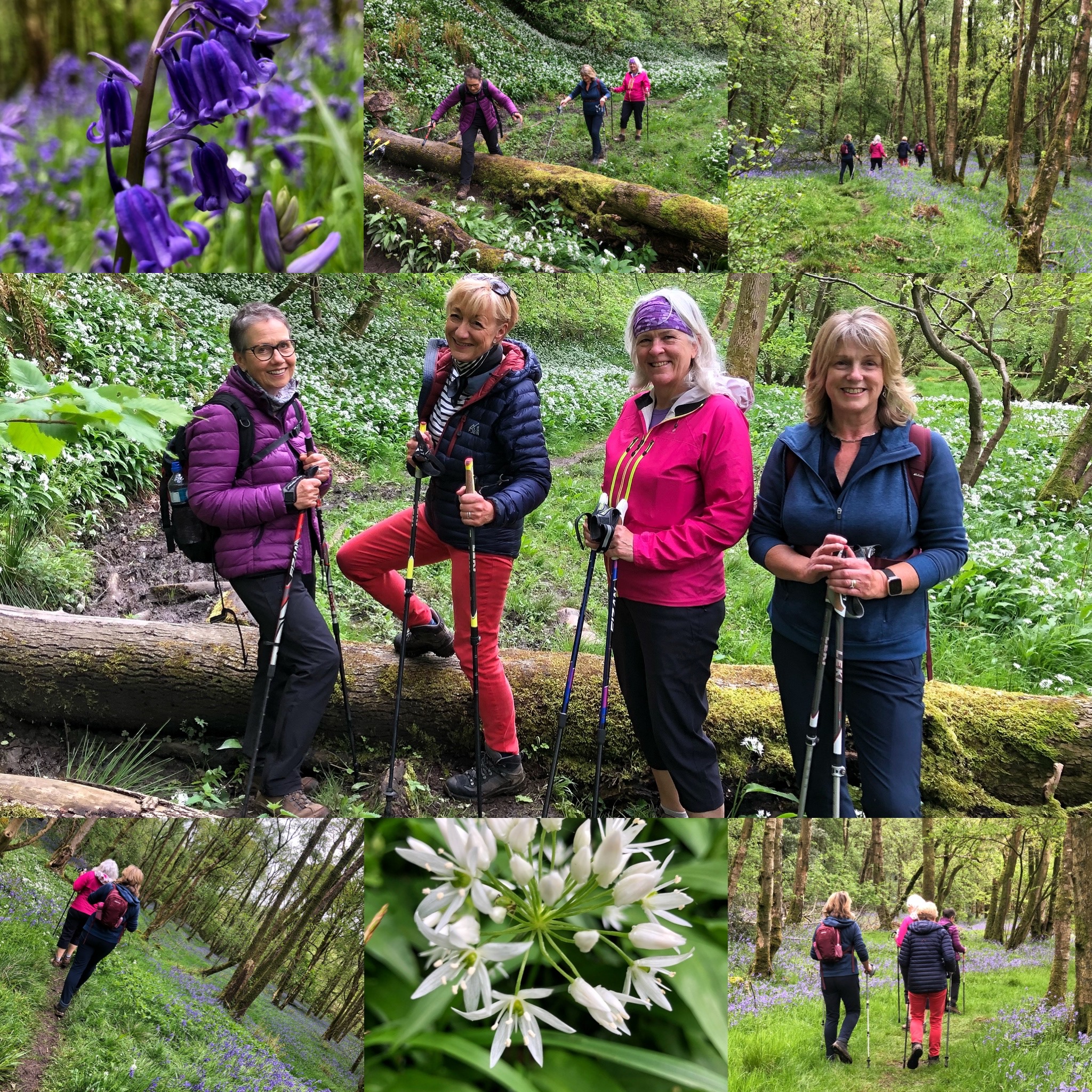 Talk and Tone - Kirkby Lonsdale