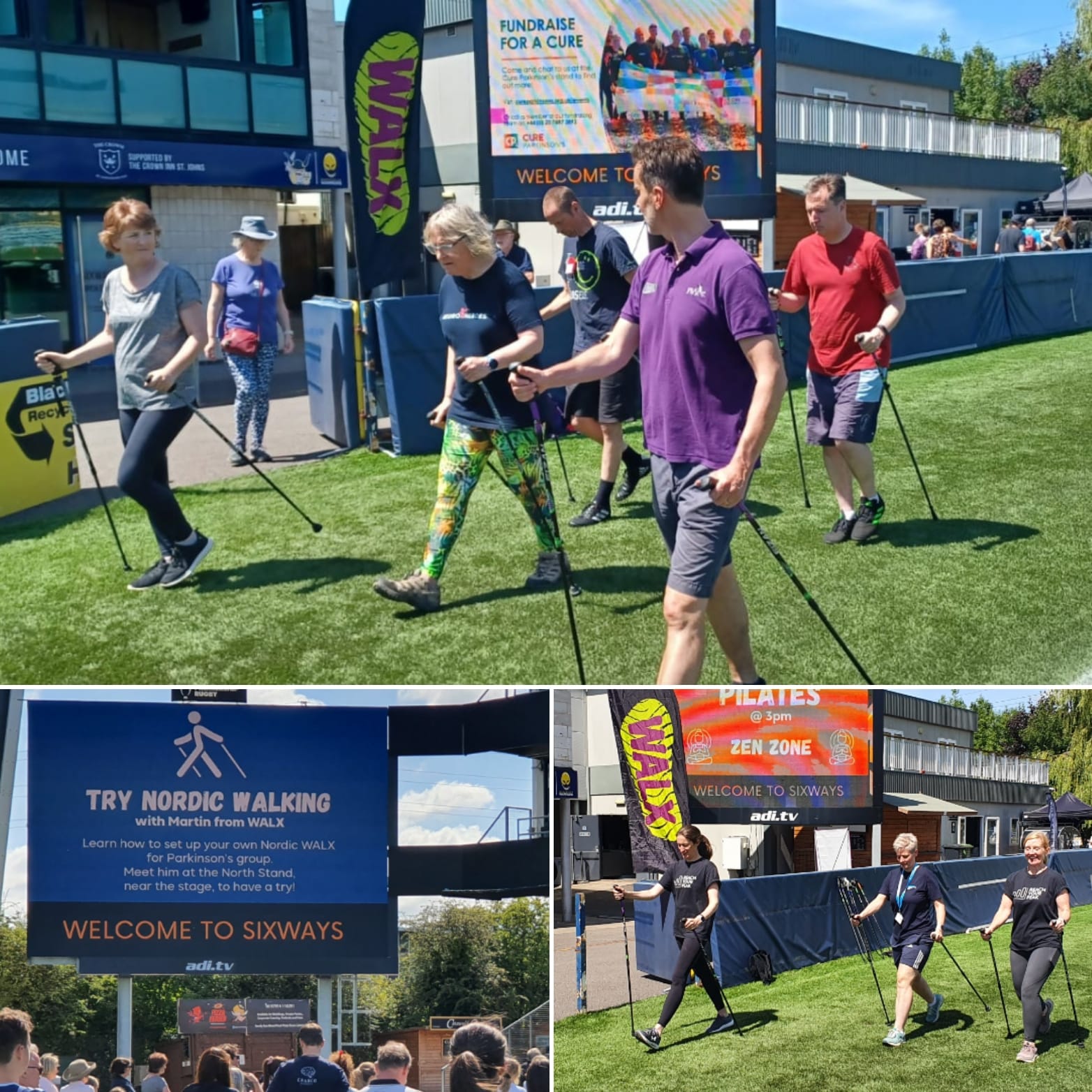 Pole walking for rehabilitation and stability