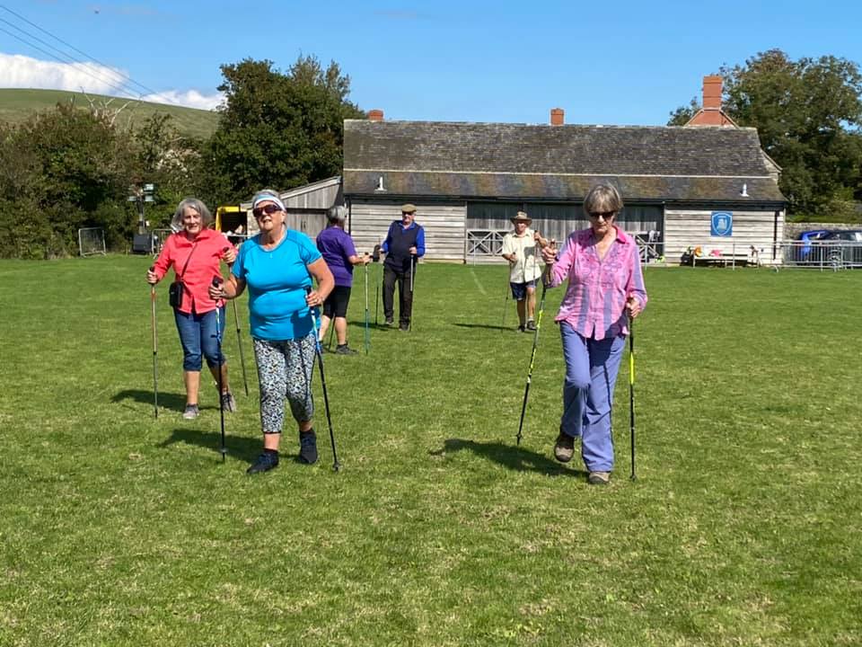 Pole walking for rehabilitation and stability