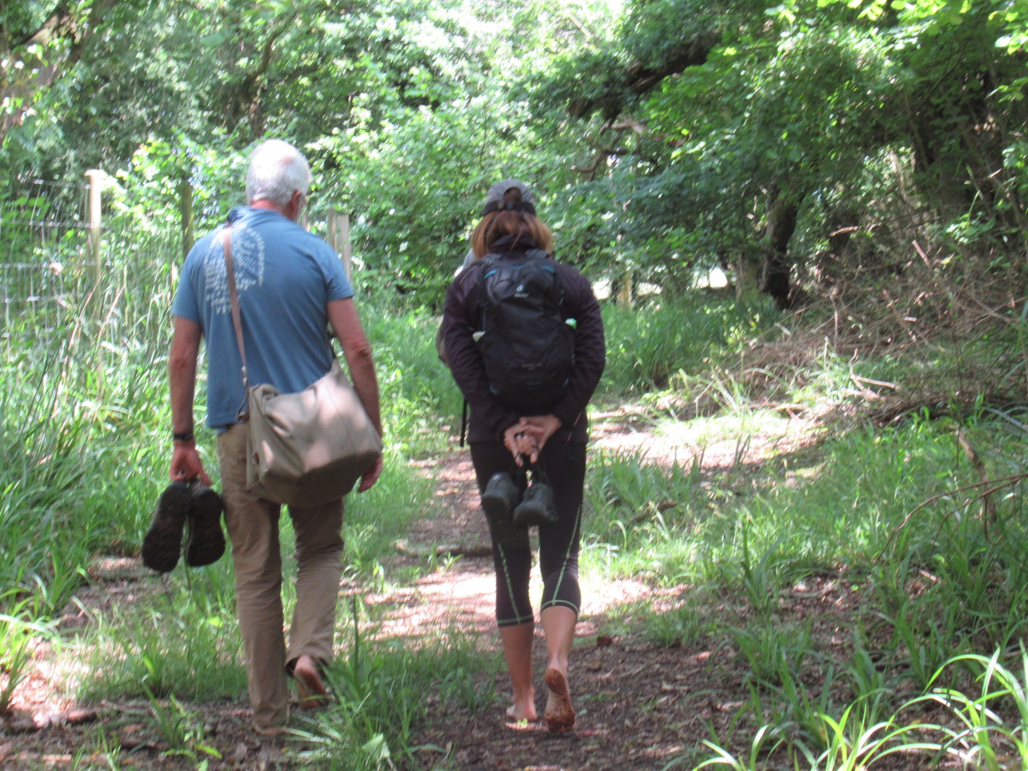 Connecting with Nature walk