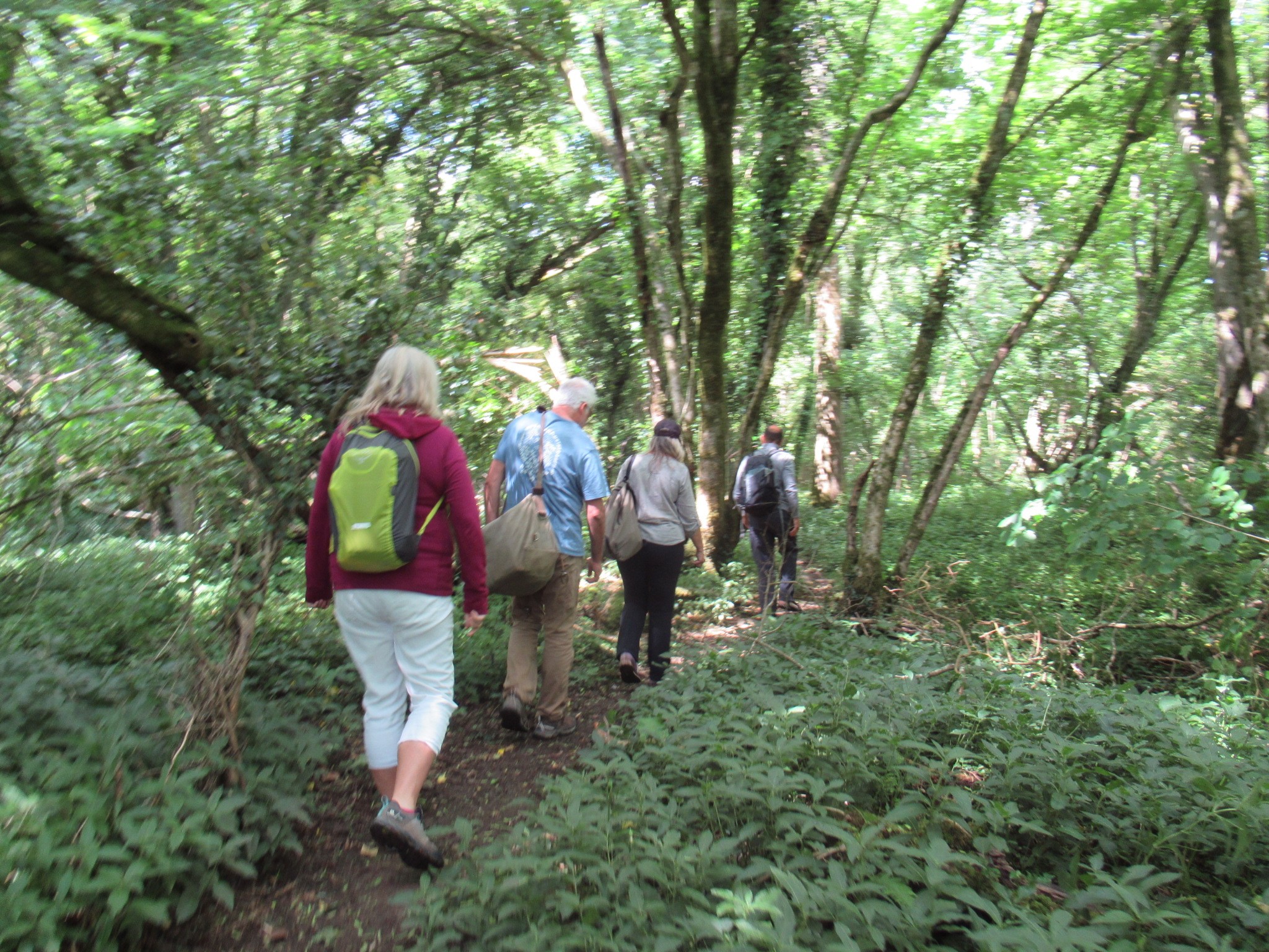 Connecting with Nature walk