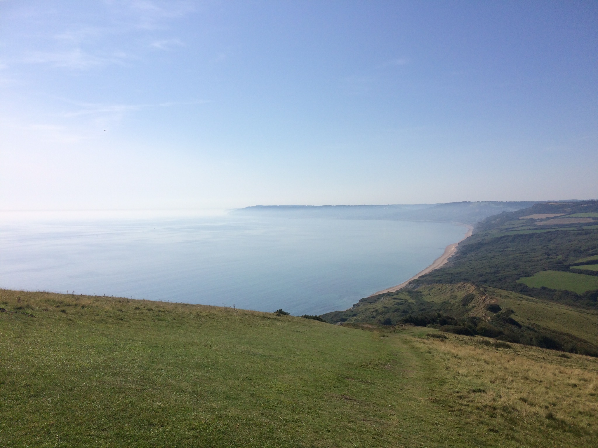 Seatown to Golden Cap - venture further afield walk!
