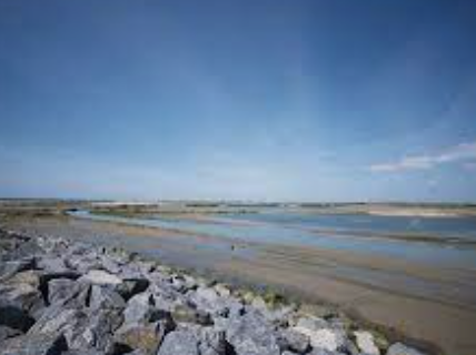 Medmerry Nature Walk (Moderate)