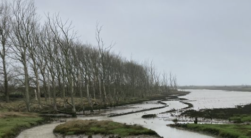 Medmerry Nature Walk (Moderate)