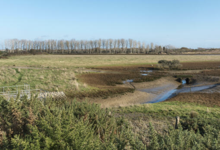 Medmerry Nature Walk (Moderate)