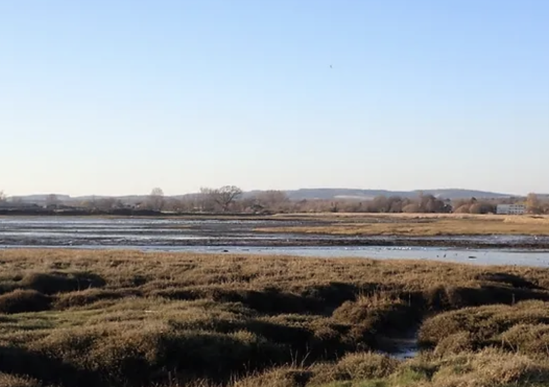 Medmerry Nature Walk (Moderate)