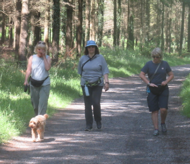 Health Walk (FREE TASTER) - Goring