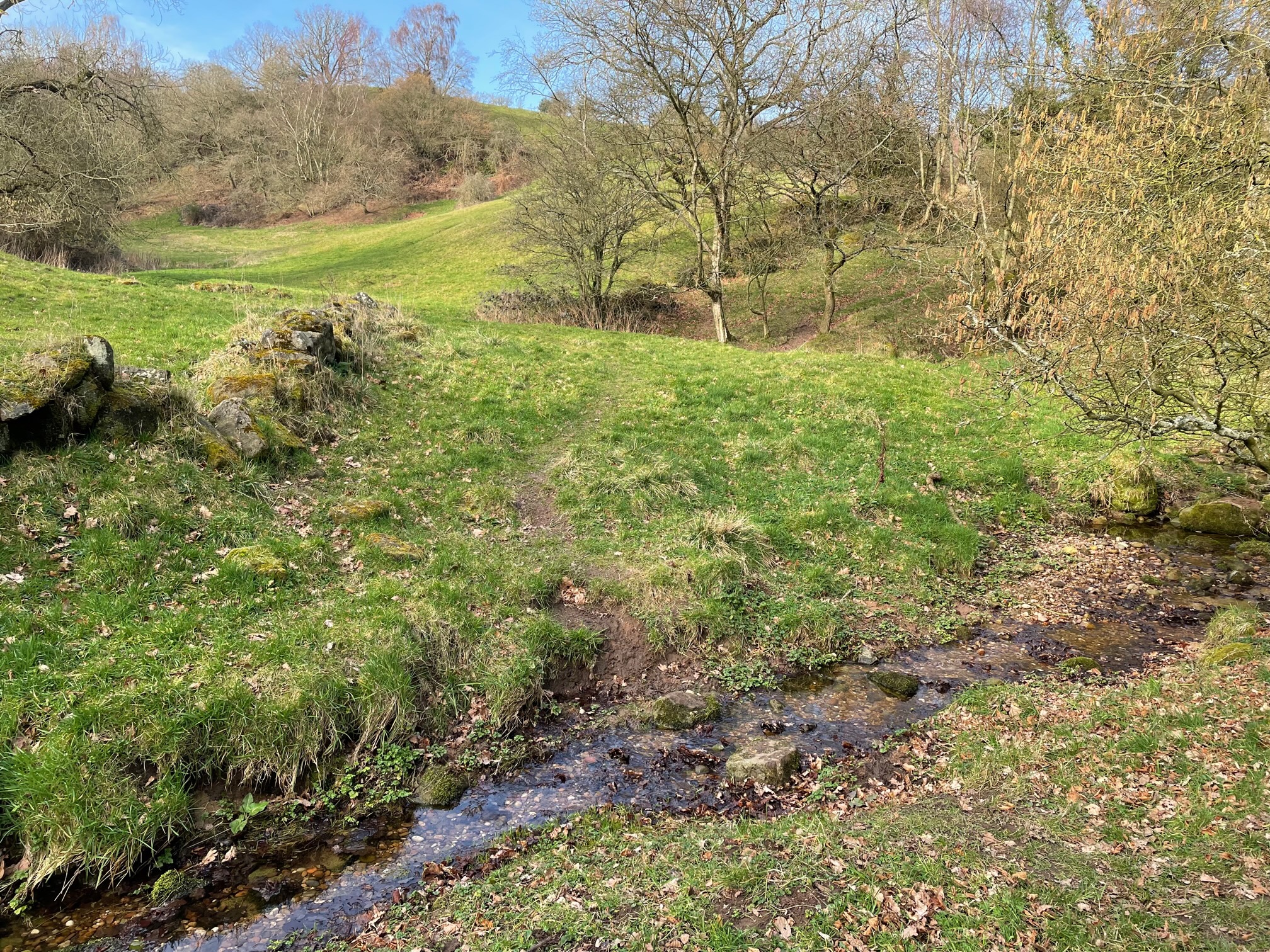 1.5 hour Explorer Walk Ilam Park