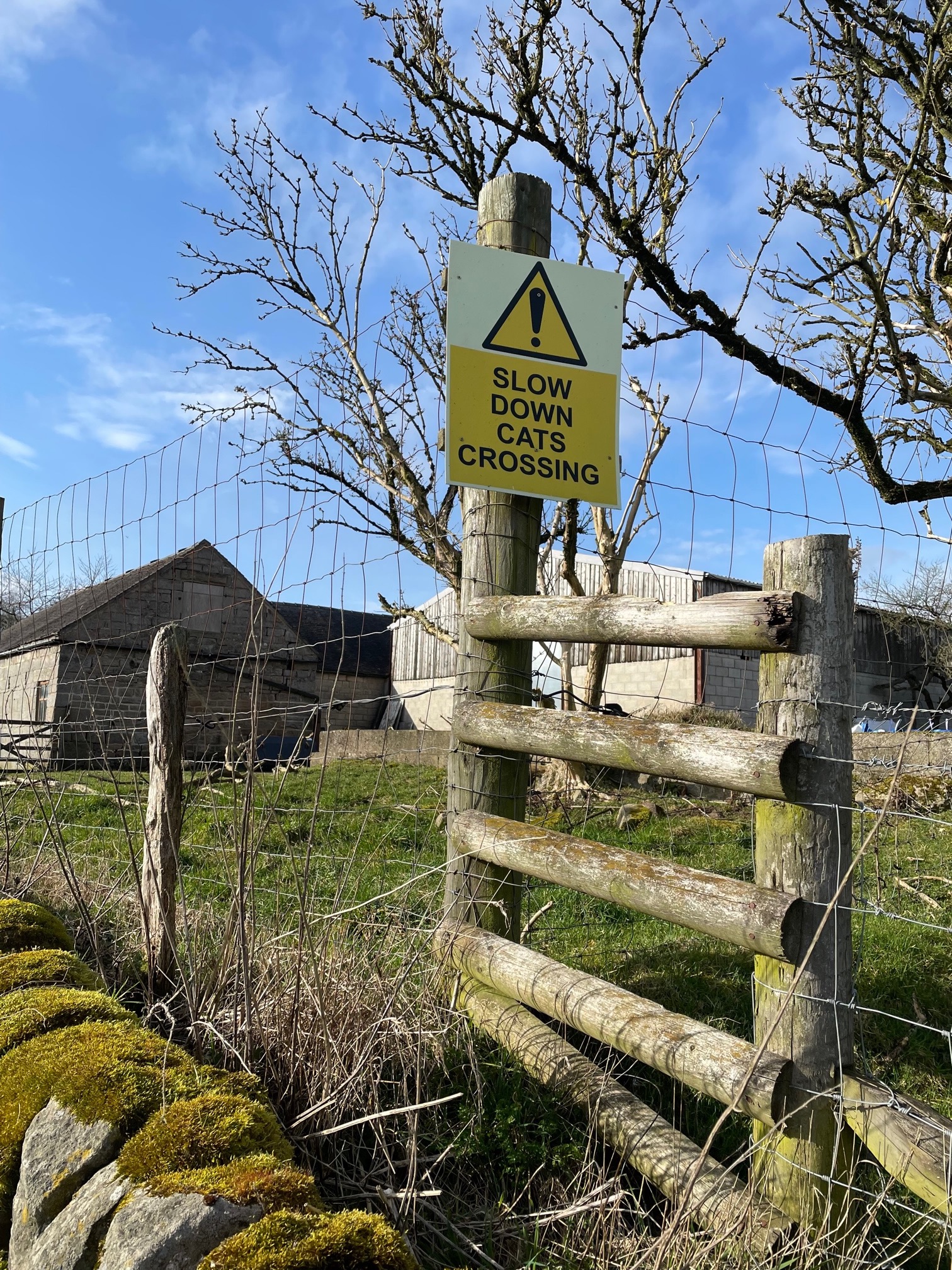 1.5 hour Explorer Walk Ilam Park