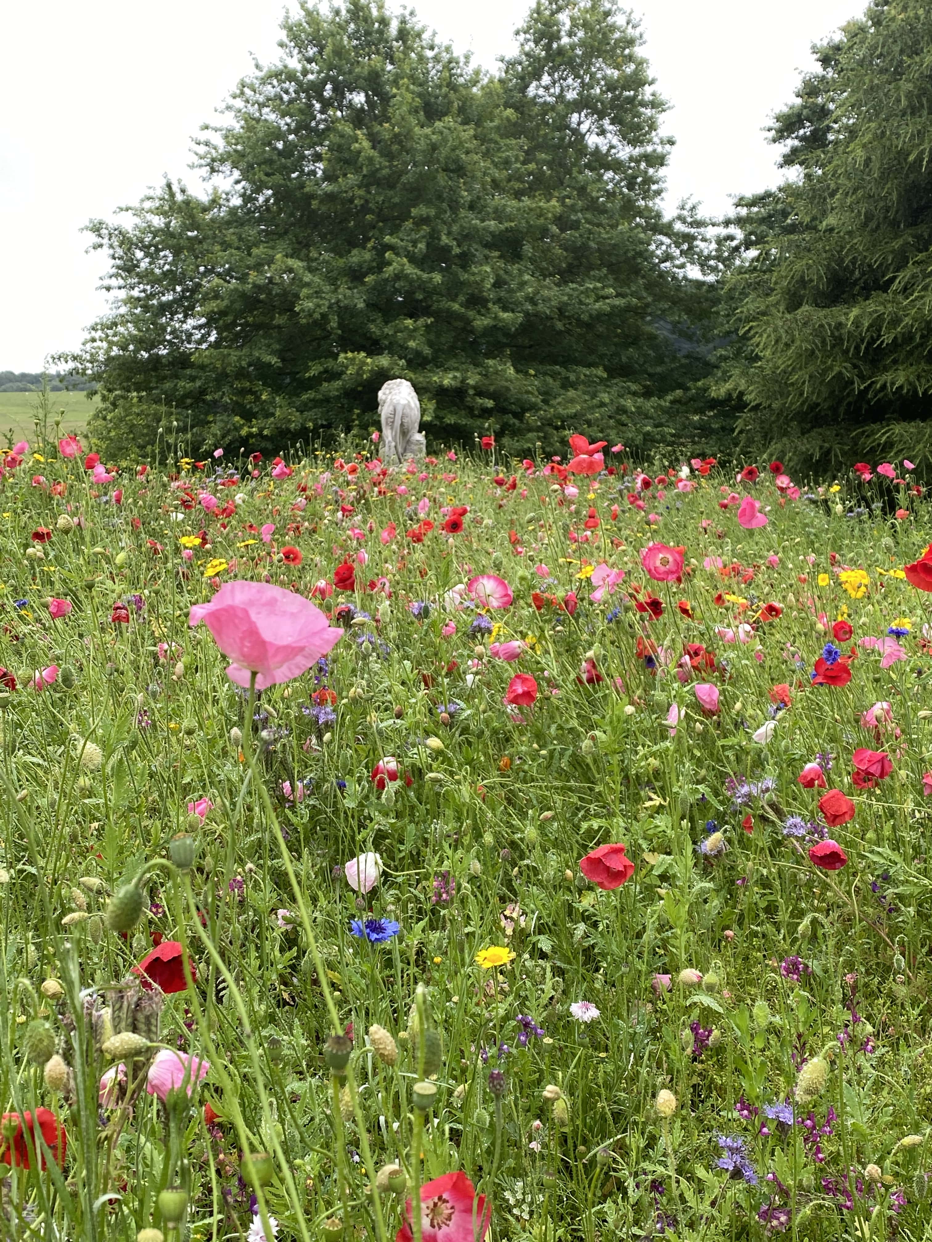 WALK and TALX Kedleston Park