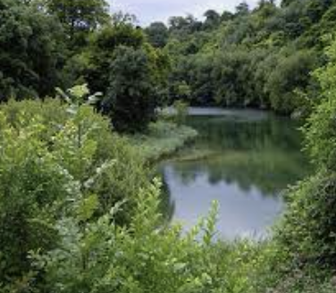 Swanbourne Lake Walk and Beyond (Pace1 - 2) - Arundel